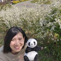 濵岡陽子さんのプロフィール