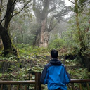 丸山 慎悟