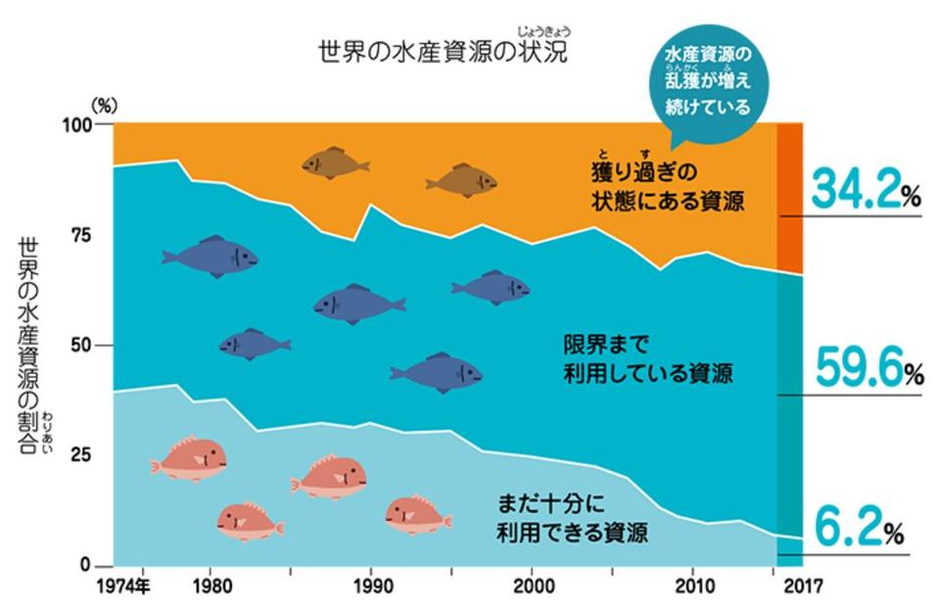 日本でも年間2~6万トンの流出！【SDGs目標14】海の豊かさを守ろう | SDGsってなんだろう？