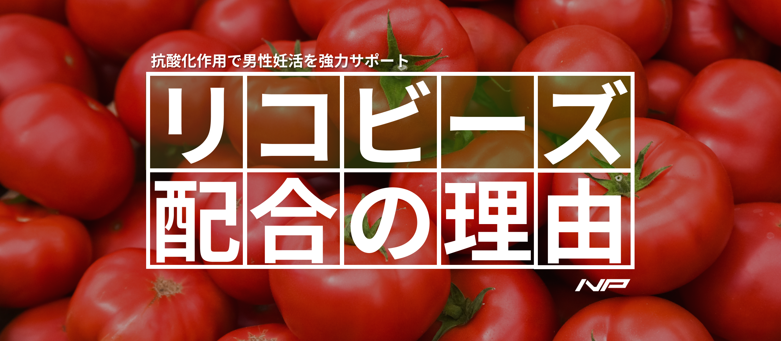【男性妊活向け最新成分】リコビーズを採用した理由