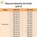 Bảng Cân Nặng Thai Nhi Drspa