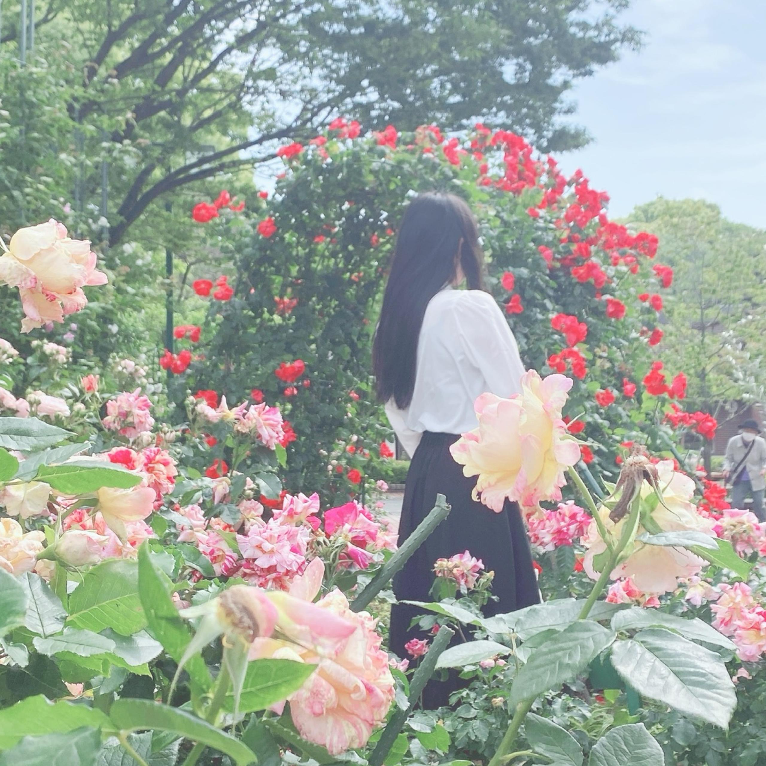宮原 来未