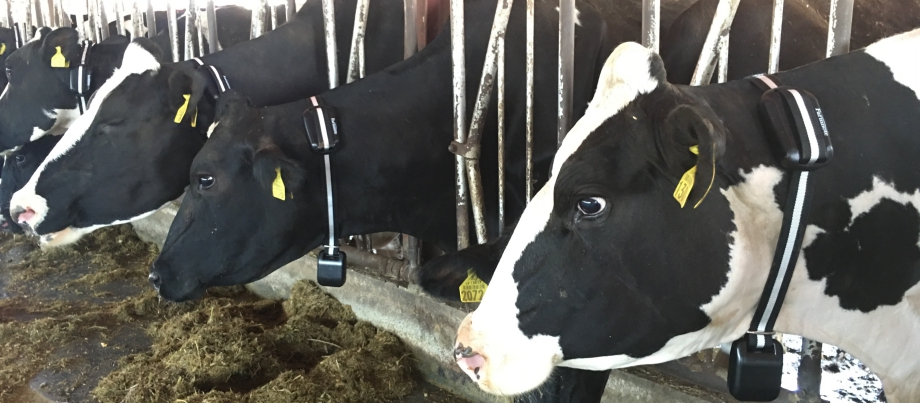 よつ葉乳業さまに「Farmnote Color」を紹介していただきました！