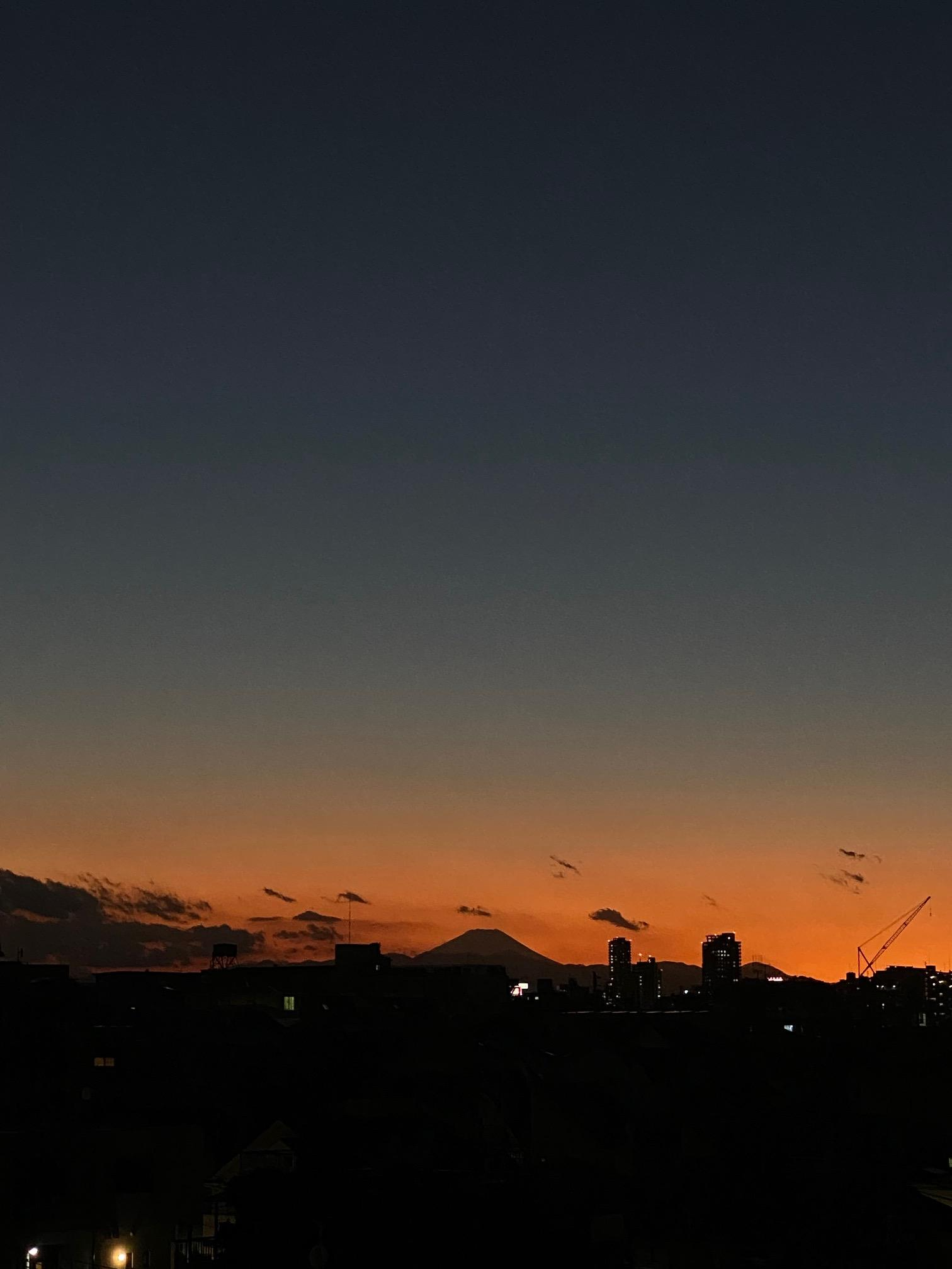 新人が新人を飼う