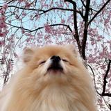 木村 早希