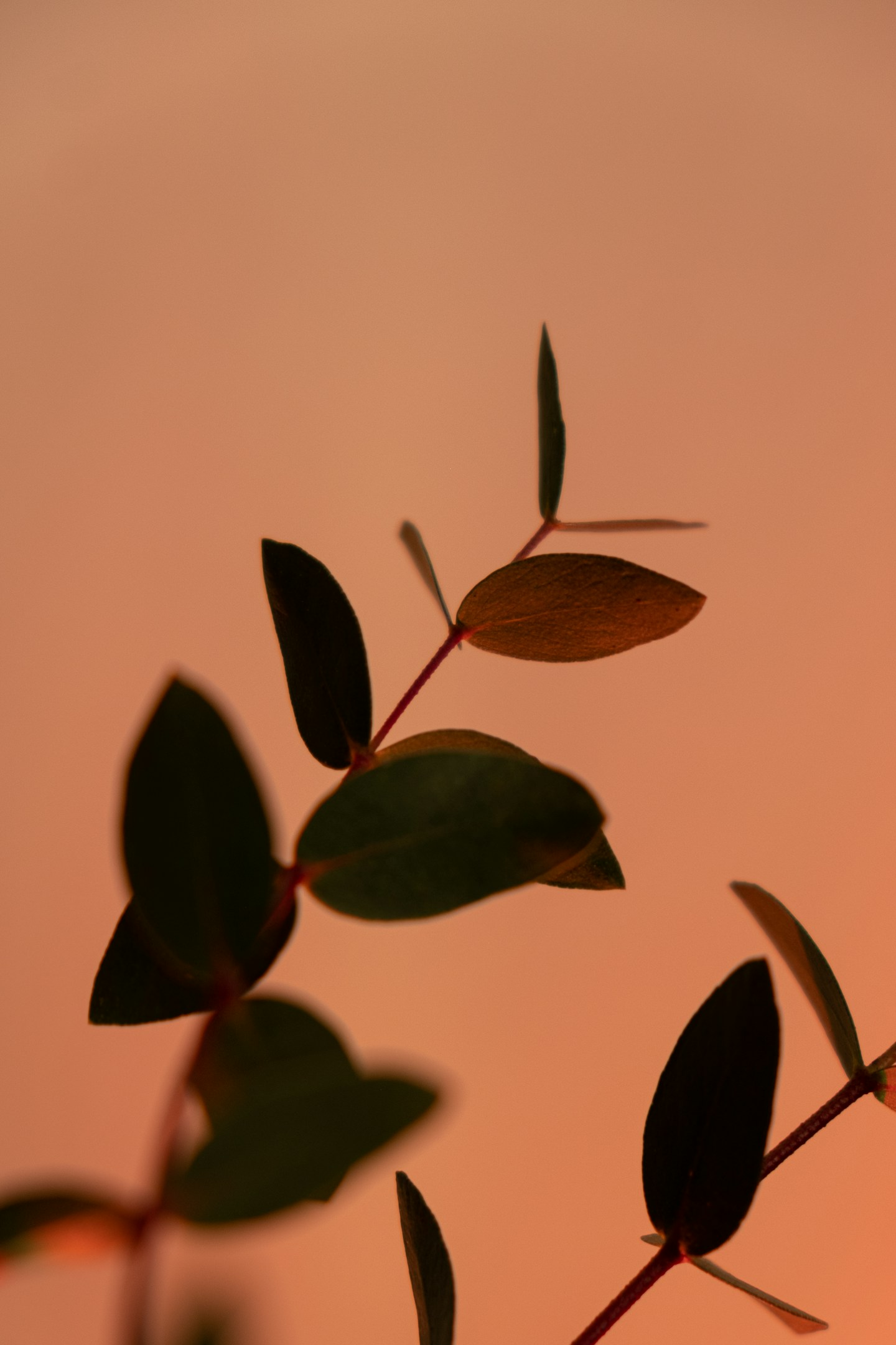 最近読んだ本 2025年12月～