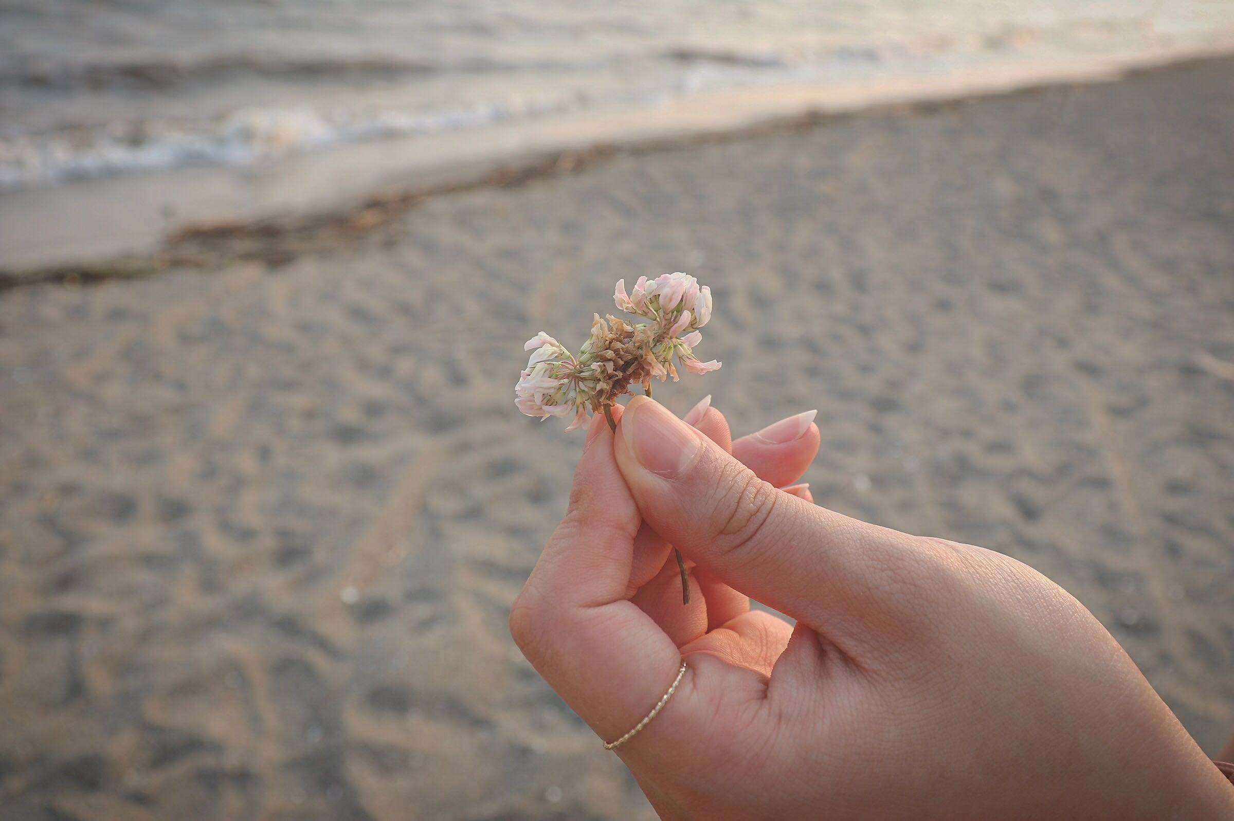 スポーツ好きなら、スポーツ業界！好きを仕事にしていいんです　＃就活＃転職＃インターン