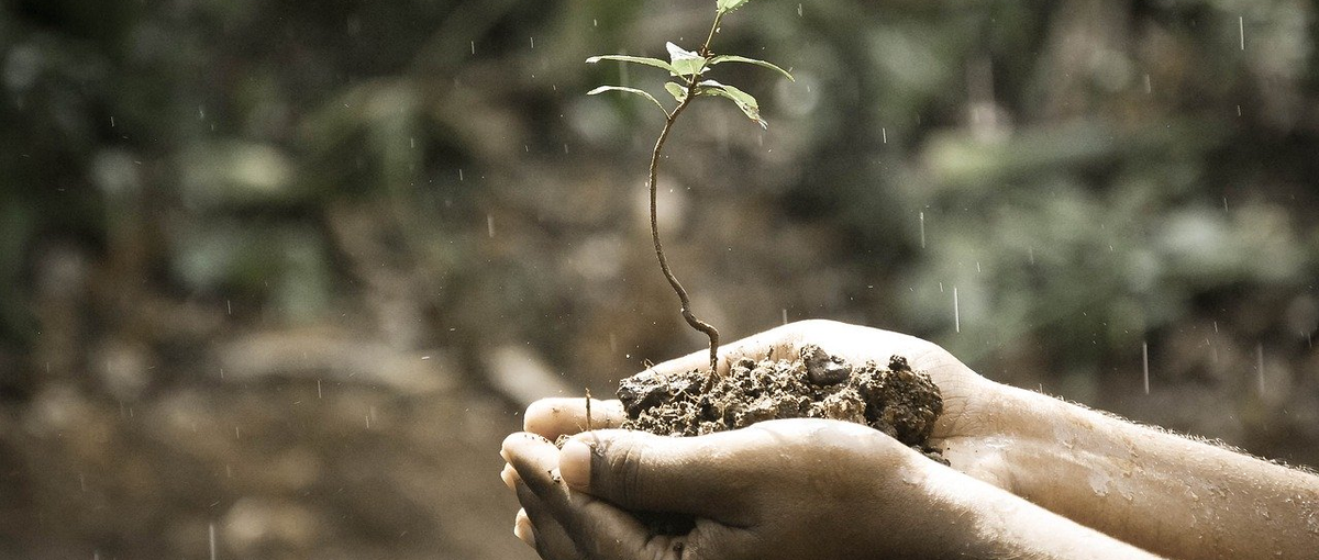 新規サービス立ち上げ！地方企業向けソリューション開発責任者候補募集