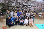 社内花見イベントの様子