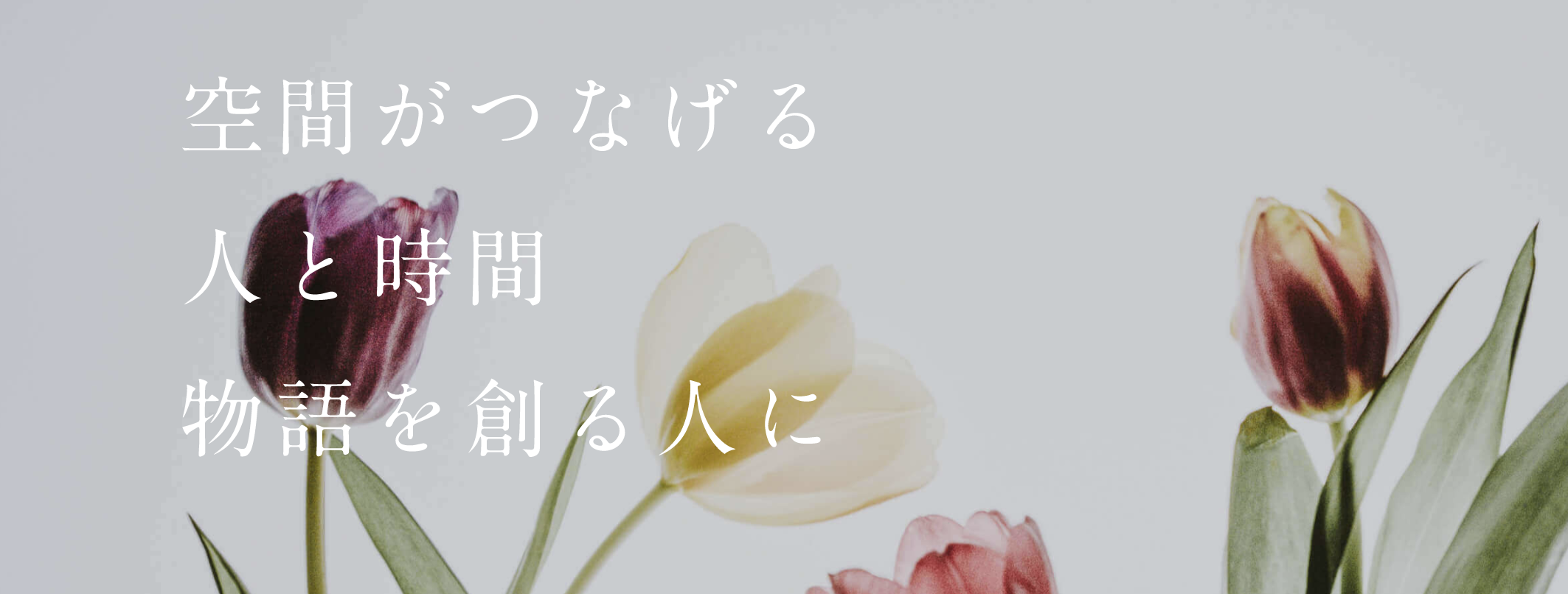 リクルーティングサイト・リニューアル