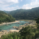 留偉 竹本
