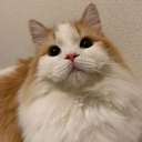 M I