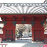 平田 大我