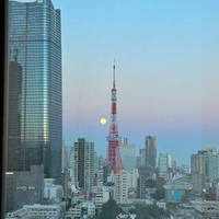 Mayumi Amanoさんのプロフィール