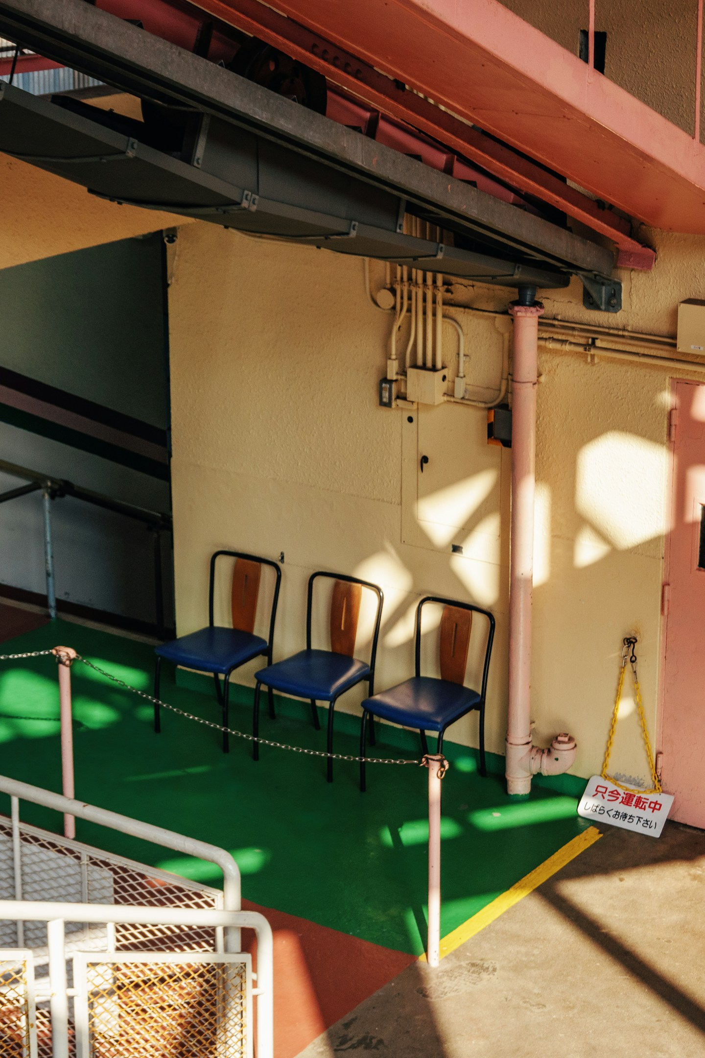 New Life Style for Senior Expert