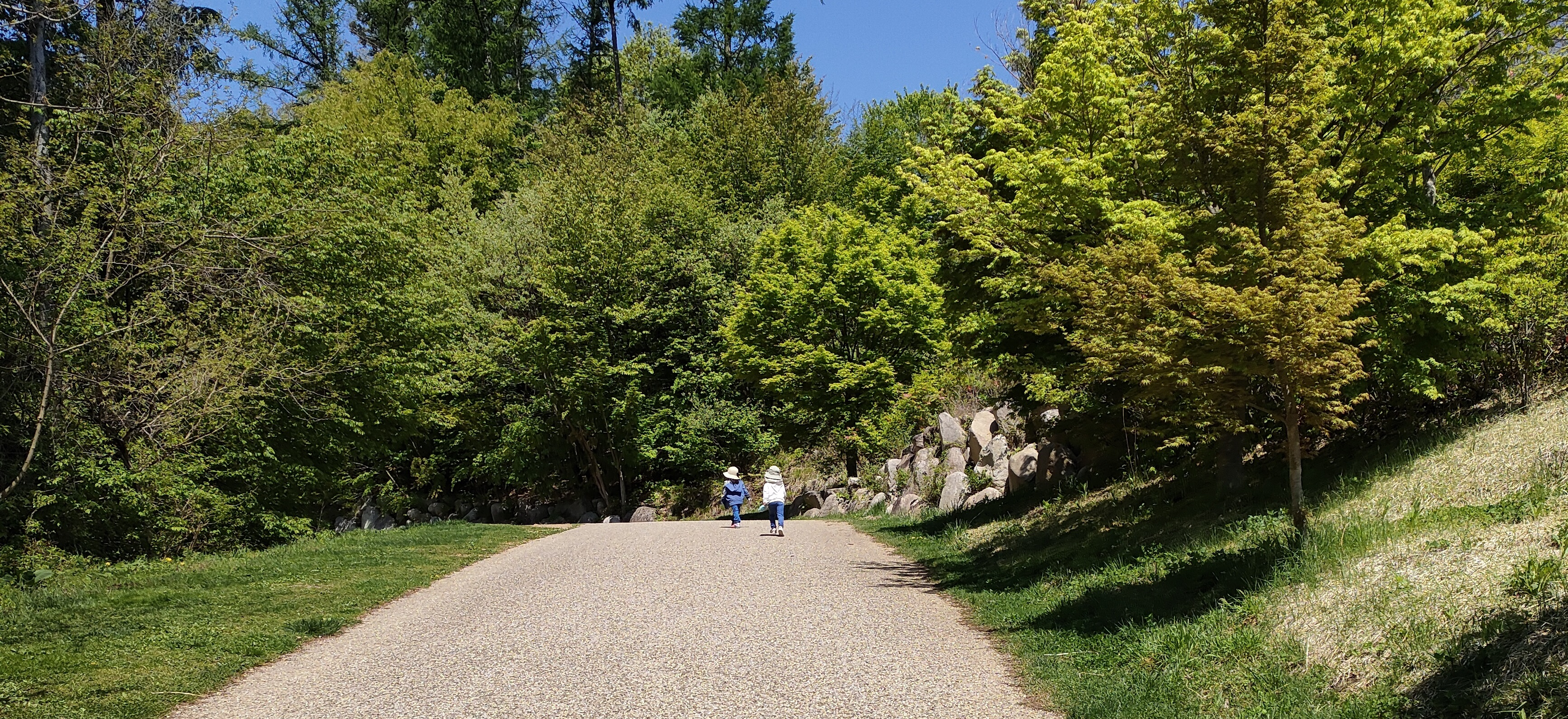 金融系SIerのPMからスタートアップのCSにキャリアチェンジ