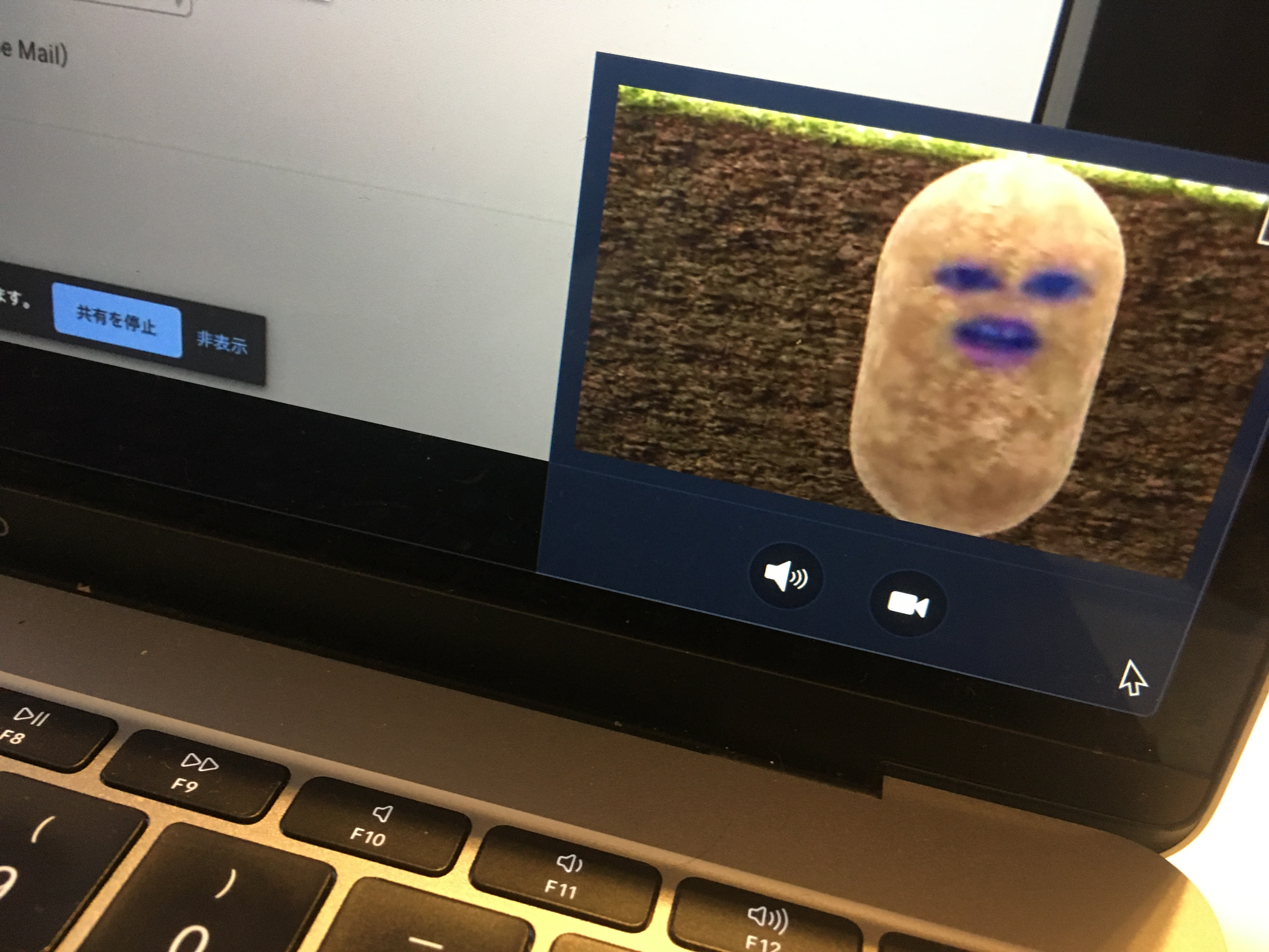 初めてのオンライン研修も！新卒メンバーと過ごした2週間の記録。