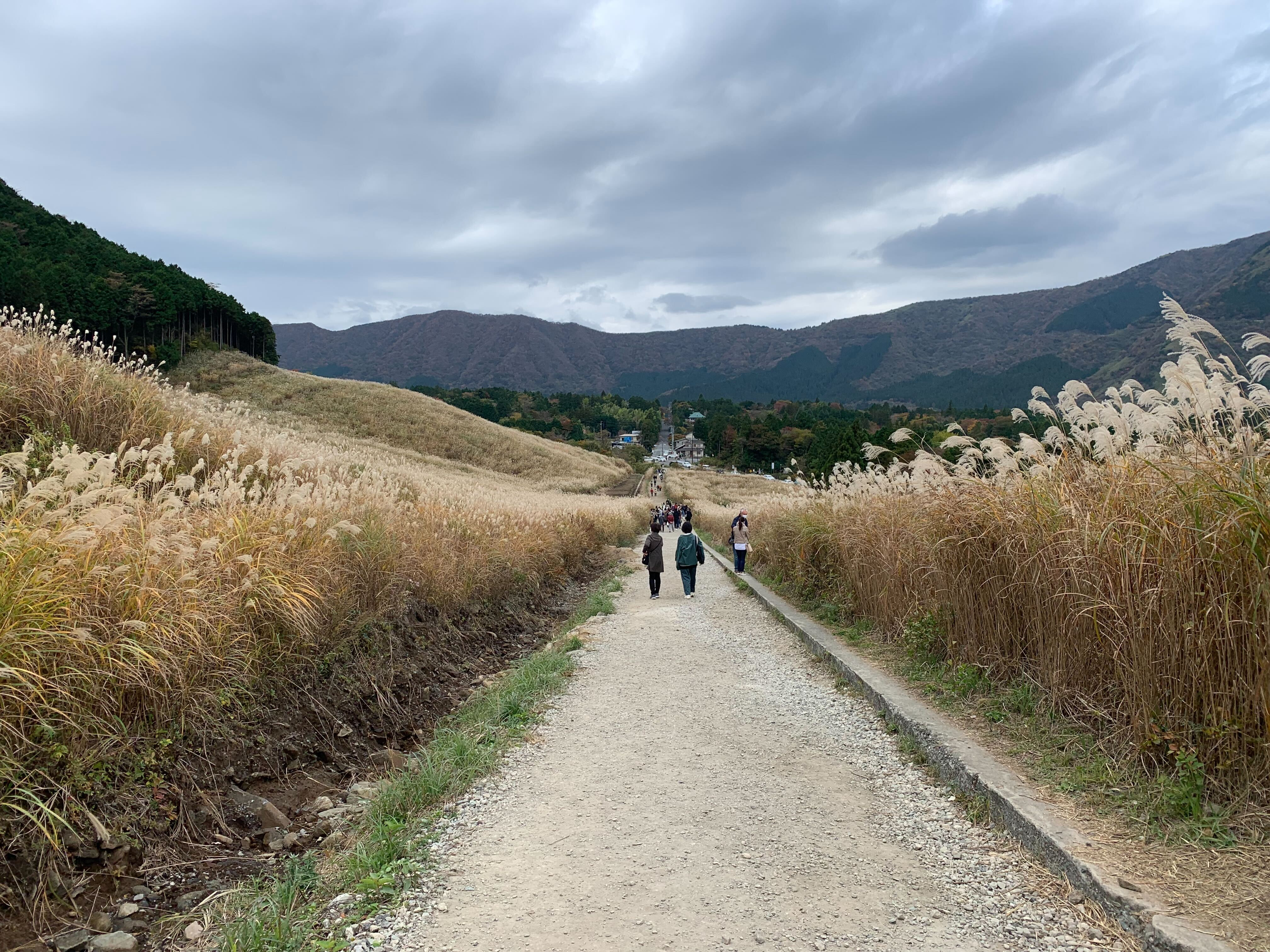 【ワーケーション体験】東急バケーションズ箱根強羅でワーケーションしてきた！