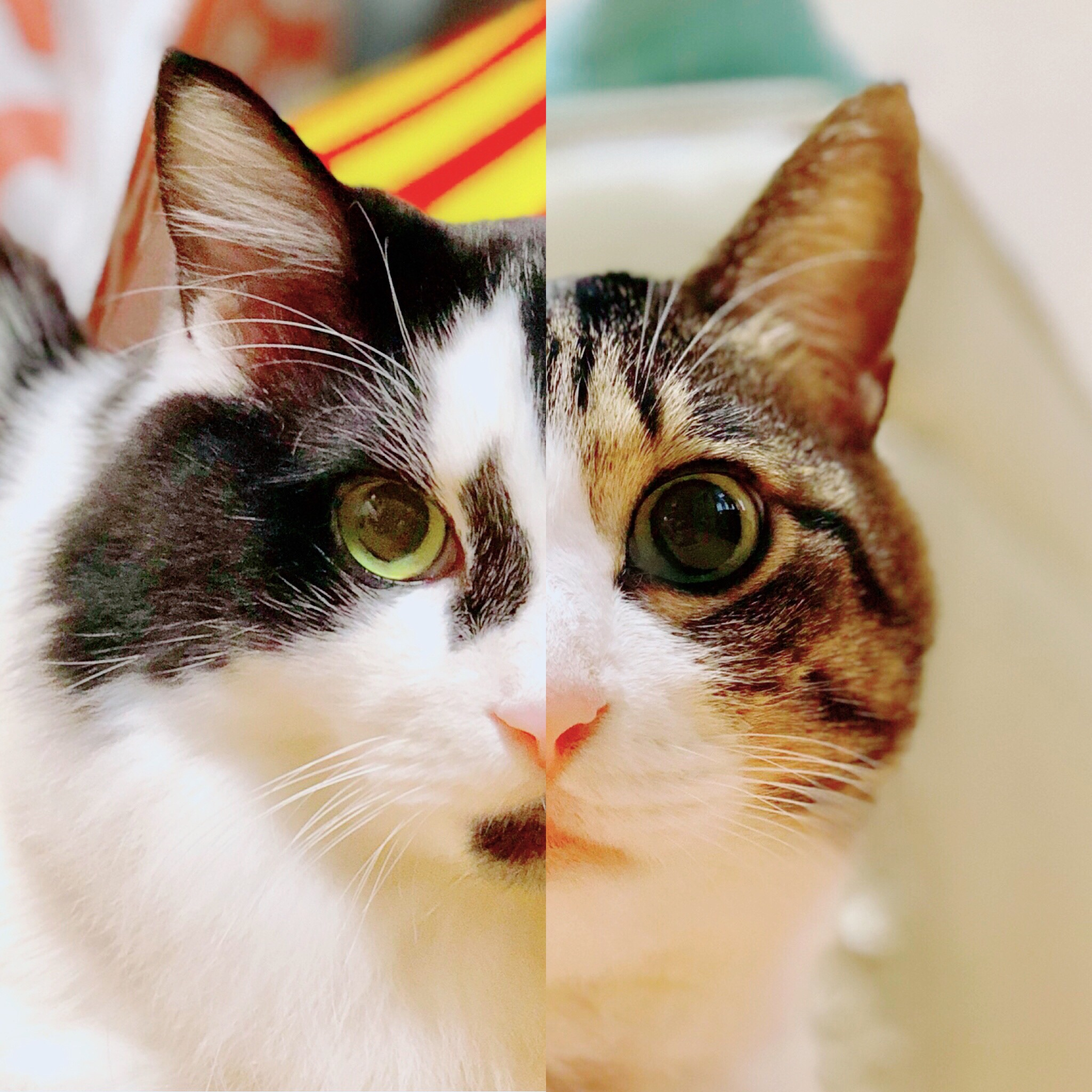 ishiharaさんのプロフィール画像