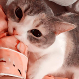 松崎 優