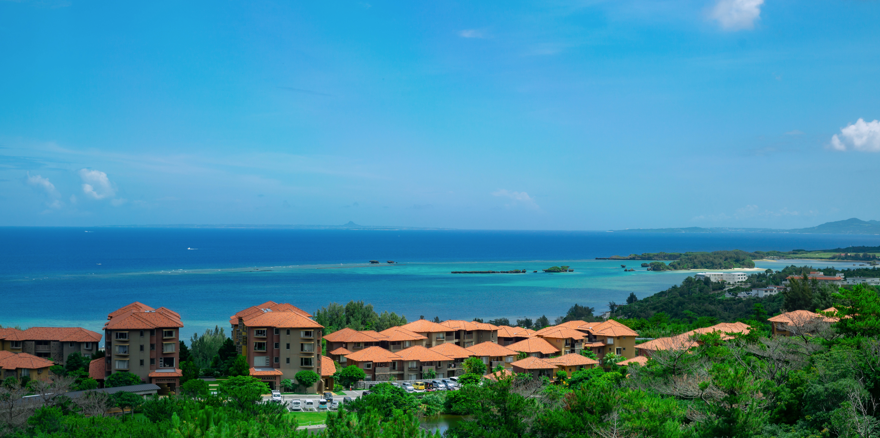 【沖縄発ベンチャー】海の見えるオフィス