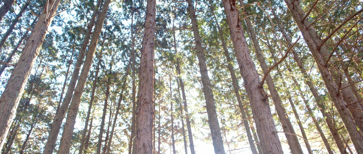  自社開発アプリのバックエンドエンジニア募集！事業拡大につき神戸事務所新設