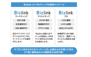 Bizlinkコンサルティングの提供価値