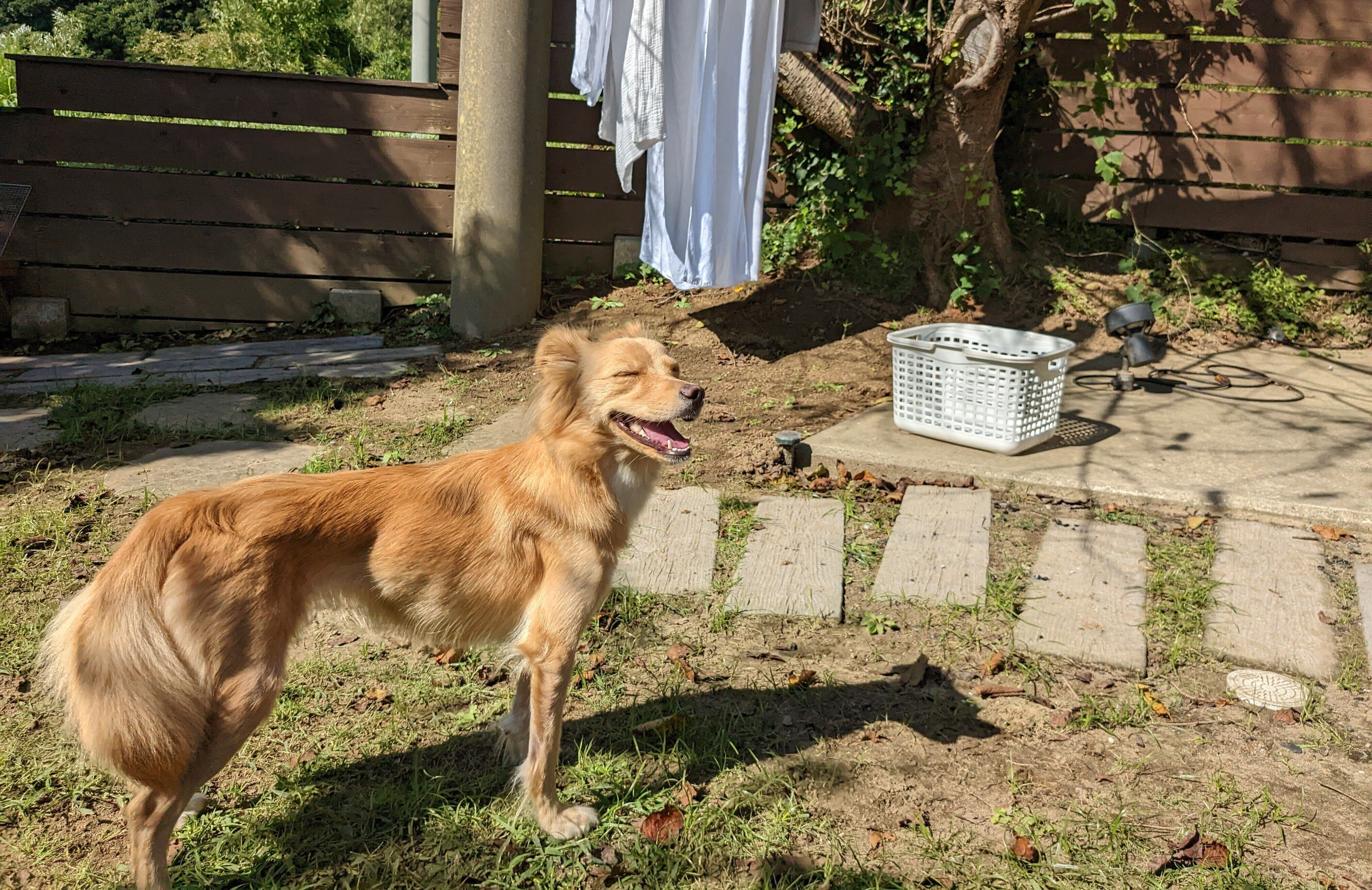 オープンな雰囲気とディープダイブできるプロダクトに惹かれ