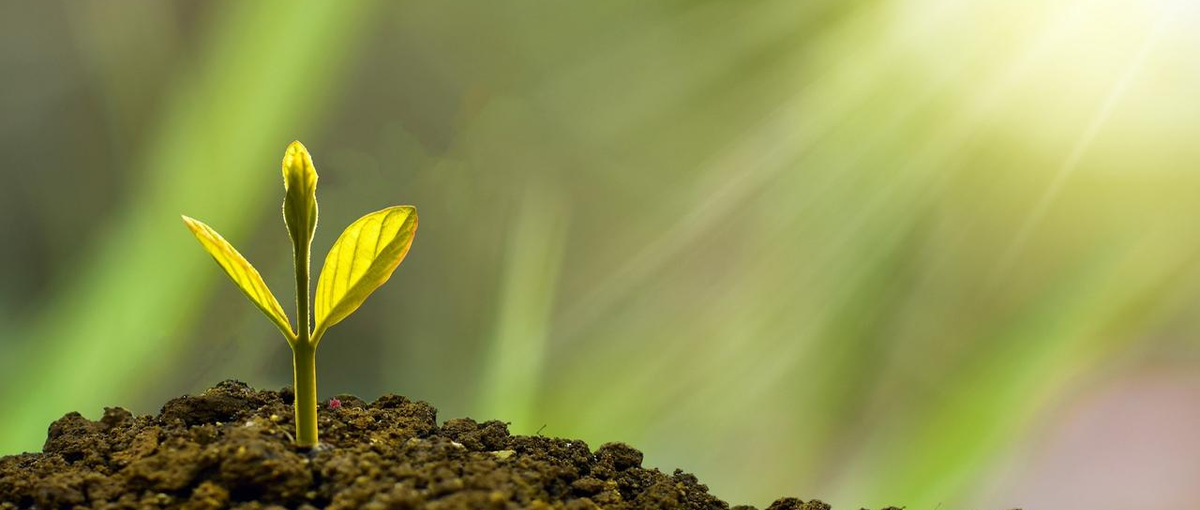 医療への志を糧に新卒から経営層へ！キャリア志向の若手を募集します