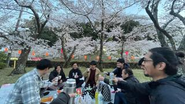 恒例行事のお花見！