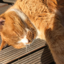 Ochiaitakahashi Ochiaitakahashi