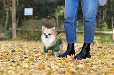 幅広いサービスのWebデザインを担当してくれる方募集！！
