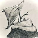 Akinori Mandai
