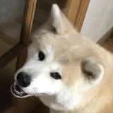 北嶋 勇斗