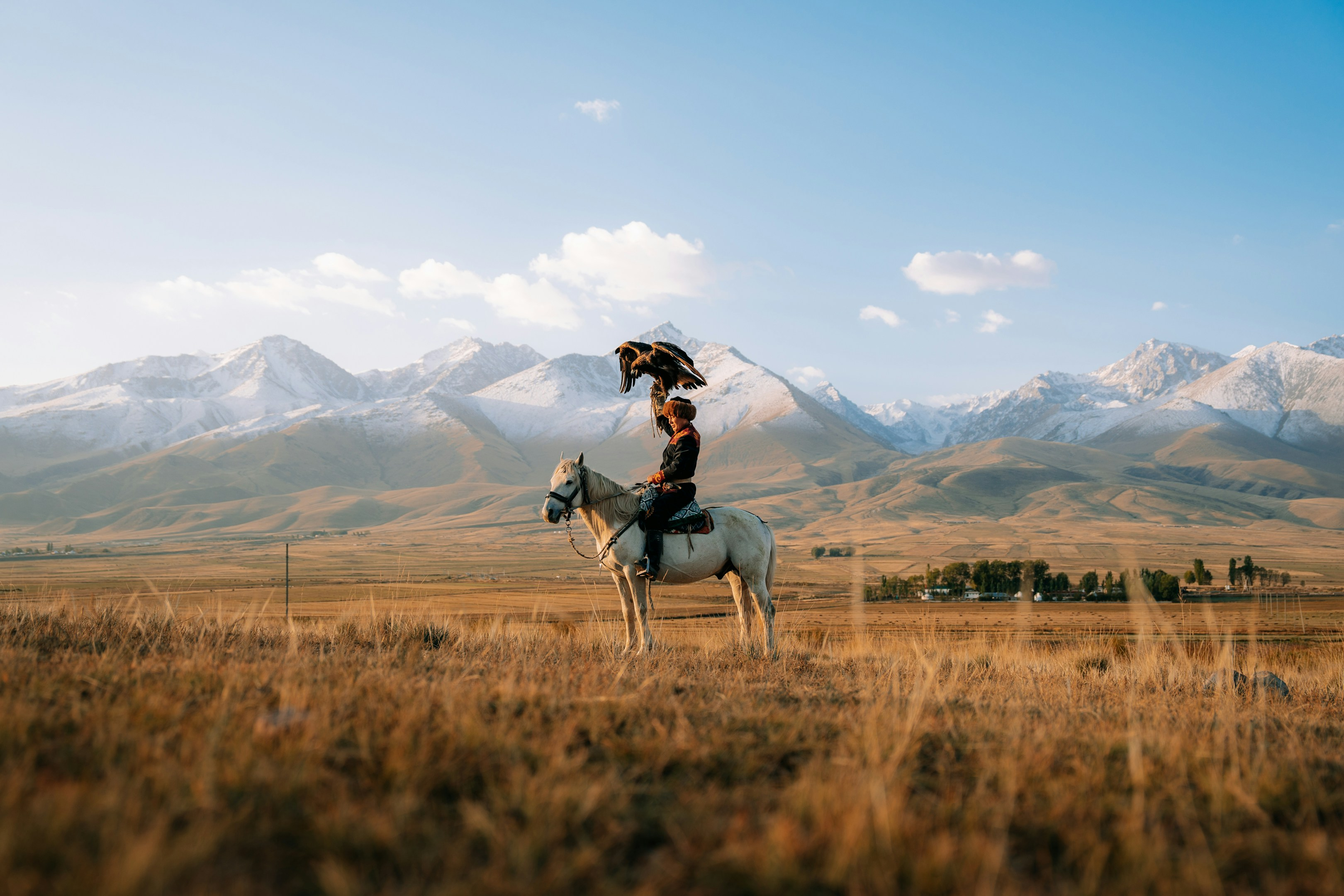 【川口勇氣】スタートアップ開発支援で学んだ、スピードと品質を両立させる実践法