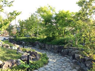 オフィスも緑でいっぱいです！